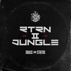  Chase Status - Rtrn I I Jungle .jpg