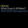 Steinski - What Does It All Mean (1983-2006 Retrospective)